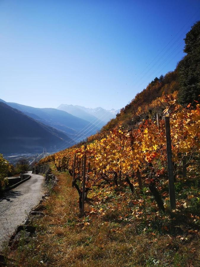 Casa Vacanze - Residenza Elvezia Tirano Kültér fotó